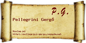 Pellegrini Gergő névjegykártya
